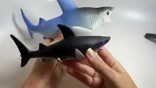 Jumbo grow shark soak in water toy