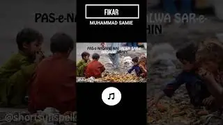 Fikar | Whatsapp Status 3 | Muhammad Samie