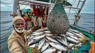 They Tried Massive Fish Catch in Deep sea🤩🌊 | Big fish catching | fish Sea to Factory