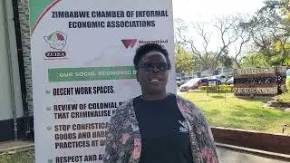 Informal Workers' Perspectives on SADC People's Summit | - ZCIEA 1st Vice SG Lydia Maphosa