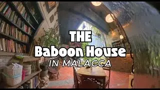 Hidden Gem Caf&eacute; in Malacca: The Baboon House Experience #Food #Cafe #Malacca #Hidden #Malaysia #Art