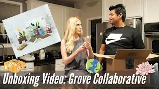 GROVE COLLABORATIVE HAUL AND REVIEW | Cleaning products haul | Is it worth it?
