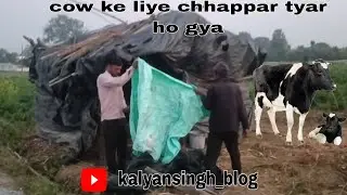 We make home for cow 🤣 | Animal life style #blog 