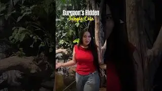 Gurgaon's Hidden Jungle Cafe | Curly Tales