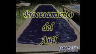 PROCESAMIENTO DE AÑIL- EL SALVADOR