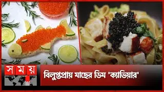 গরিবের খাবার এখন বিশ্বের সবচেয়ে দামি খাবার | Caviar Egg | See Food | Caviar Fish | Food | Somoy TV
