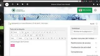 Capacitaci&oacute;n Virtual EPMV - Herramientas del aula virtual - Etiquetas e incrustar v&iacute;deos