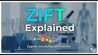 ZIFT : Zygote Intrafallopian Transfer Explained In Hindi