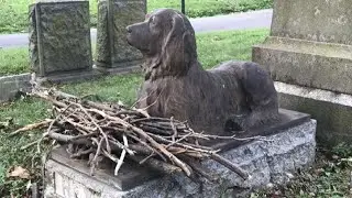 People Are Leaving Sticks At Grave Of Dog Who Died 100 Years Ago