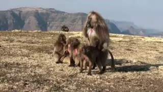 The Simien Mountains National Park (Ethiopia)