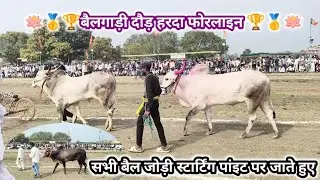 बैलगाड़ी दौड़ हरदा फोरलाइन में आया सभी बैल जोड़ी स्टार्टिंग पॉइंट पर जाते हुए bailgadi Doud pat 