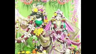 Jai Radha Madhav #shorts#iskon