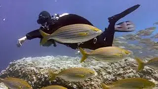 Amazing Nature | Drone Aerial View @vslogs