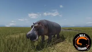 Hippo, Crocodile, Baboon, Aardvark & More! | Wild Savannah