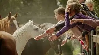 Ponyhof Schleithoff - Ein echtes Kinderparadies 🐴