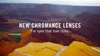 Color Through Chromance