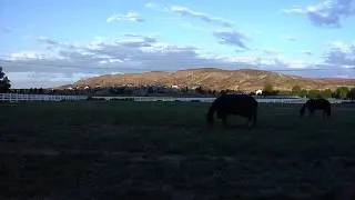 Back On Track Commercial