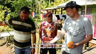Wild cocoa from Amazonia