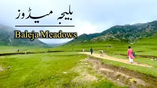 Traveling To Baleja Meadows || Untouch Natural Beauty Of kpk Pakistan