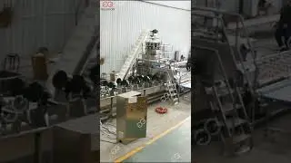 IQF Frozen Green Peas Process Line Manufacturing Process