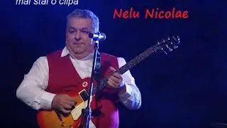 Nelu NicolaeBand  - Mai stai o clipa (cover)