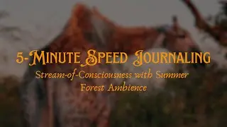 5 Minute Journaling Session with Summer Forest Ambience | Stream of Consciousness