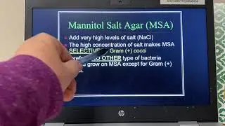 Selective and Differential Media 🔬🧫🧪