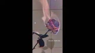SBAS - YNPLYZ (Official Lyrics Video) (Prod CHILLNRELAX)