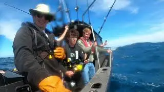 5x Blue Fin Tuna Kaikoura!!!