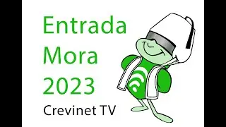 DESFILE BANDO MORO - Moros y Cristianos CREVILLENT 2023