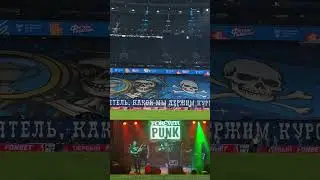 Зенит любит Панк-рок #TheПауки #rock #punk #music #рок #панк-рок #зенит #стадион #футбол #спб