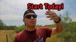 Unconventional Side Hustles ($1000/Day) Tree Trimming