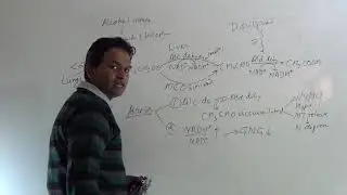 Alcohol Metabolism - BioChem. - By Dr. Prashant Sharma