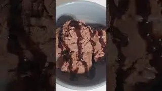 INCREDIBLE Chocolate ice cream made from Nubian goat milk curds.