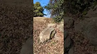 中の城古墳 もの見櫓古墳(野津古墳群) 熊本県氷川町