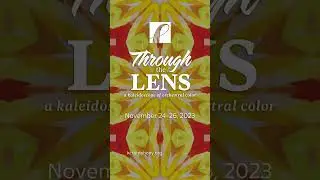 Through the Lens | November 24-26 #KCMusic #KCFun #KCEvents #KCSymphony #HowWeDoKC