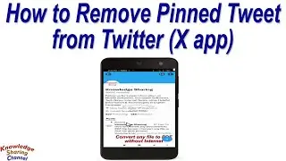How to Remove Pinned Tweet from Twitter (X app)