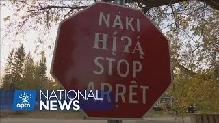 Indigenous language reclamation journey: Dinjii Zhuh Ginjik | APTN News