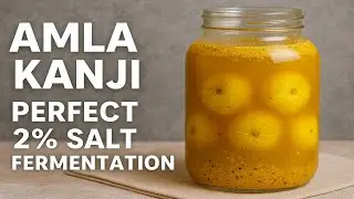 Amla Kanji Recipe | Perfect 2% Salt Fermentation for Gut Health & Immunity