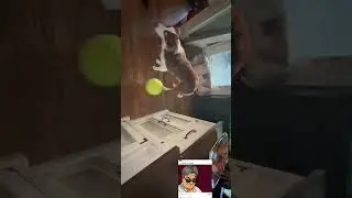 Просто зевните.