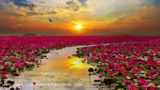 Ensemble of Nature: Music for Spiritual Awakening, Relaxation, Meditation