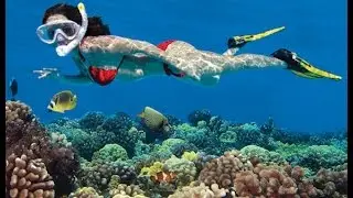 San Vicente Palawan - Things to experience