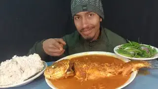 spicy 3kg fish curry with white rice spicy green chilli  challenge (hrk asmr eating show)