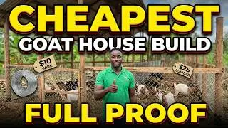 Goat Farming 103: Building the Perfect Goat House 🌿🏡
