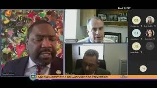 Special Committee on Gun Violence Prevention 3-11-2021