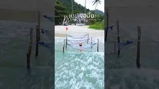 Beachfront accommodation on Koh Kood with crystal-clear water. Perfect for swimming and snorkelin...
