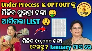 under process & Opt out ଙ୍କୁ ମିଳିବ ସୁଭଦ୍ରା ଟଙ୍କା | subhadra Yojana update | Subhadra Yojana money 🤑