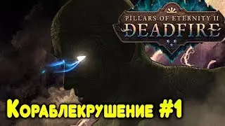 Pillars of Eternity 2 Deadfire - обзор, прохождение. Небольшой обзор классов и создание персонажа #1