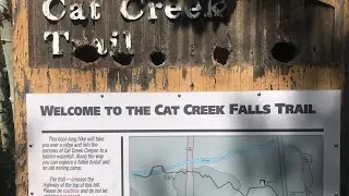 Cat creek trail / cat creek falls kananaskis