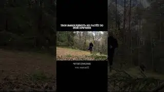 You run too hard and don't recover enough.